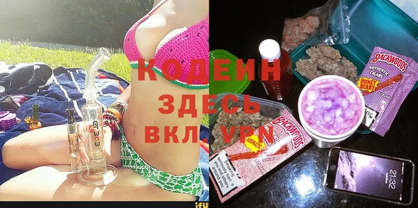 прущие грибы Алзамай