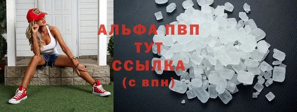 прущие грибы Алзамай